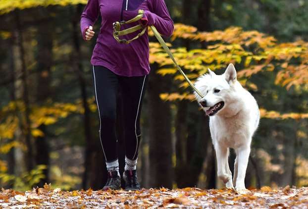 Sentiers du Parc du Mont-Bellevue à Sherbrooke