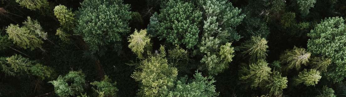 Nature et espaces verts autour de Waterloo